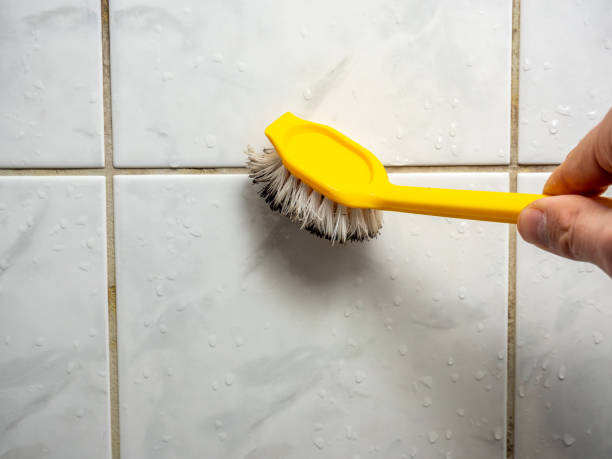 Best Residential Mold Remediation in Mount Pleasant, MI