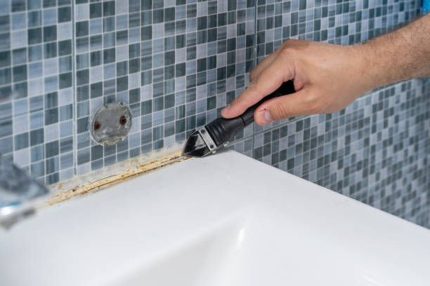 Reliable Mount Pleasant, MI Mold Remediation Solutions